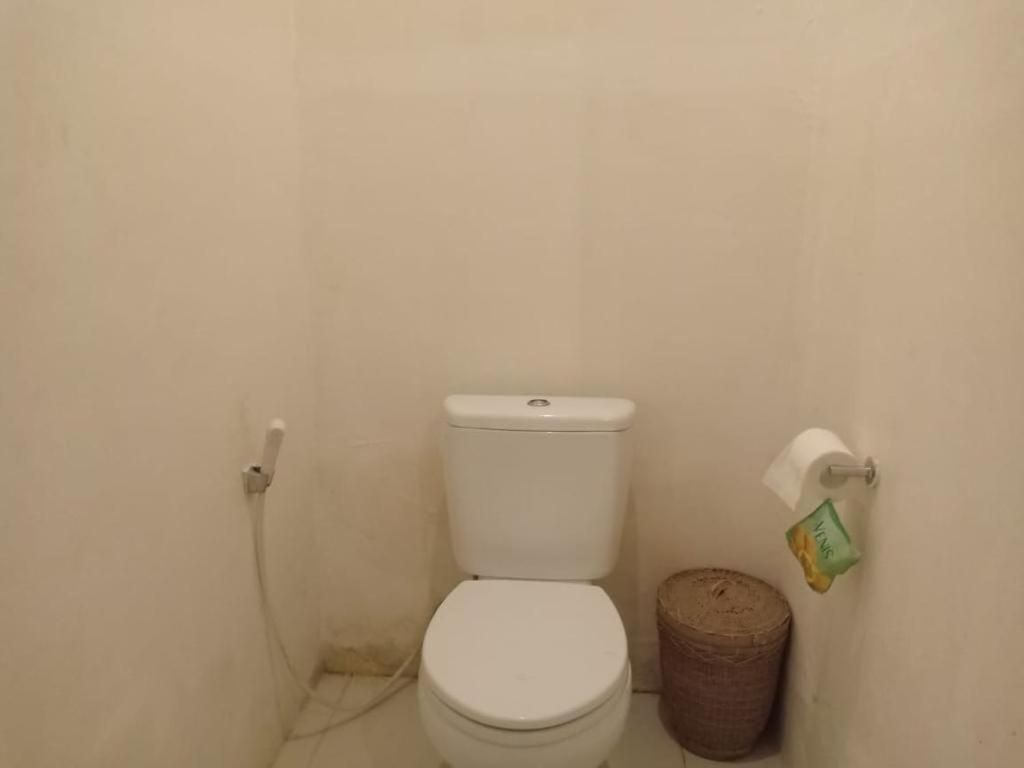 Aaliku Bungalows Τζίλι Τραγουανγκάν Εξωτερικό φωτογραφία